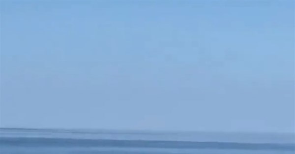 ВИДЕО: Ајкула од 6 метри плива директно кон бродот - За Се