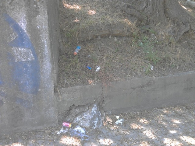 matka-otkako-go-iznasakavme-skopje-52467