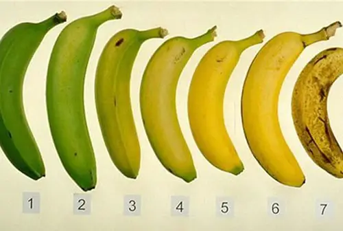 bananavid (1)