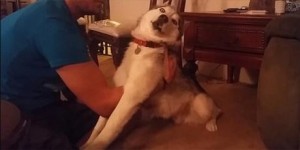 haska